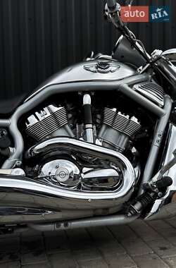 Мотоцикл Круизер Harley-Davidson V-Rod 2003 в 