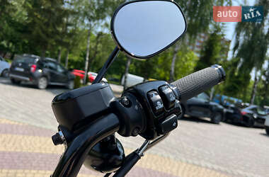 Мотоцикл Без обтікачів (Naked bike) Harley-Davidson XL 1200CX 2019 в 