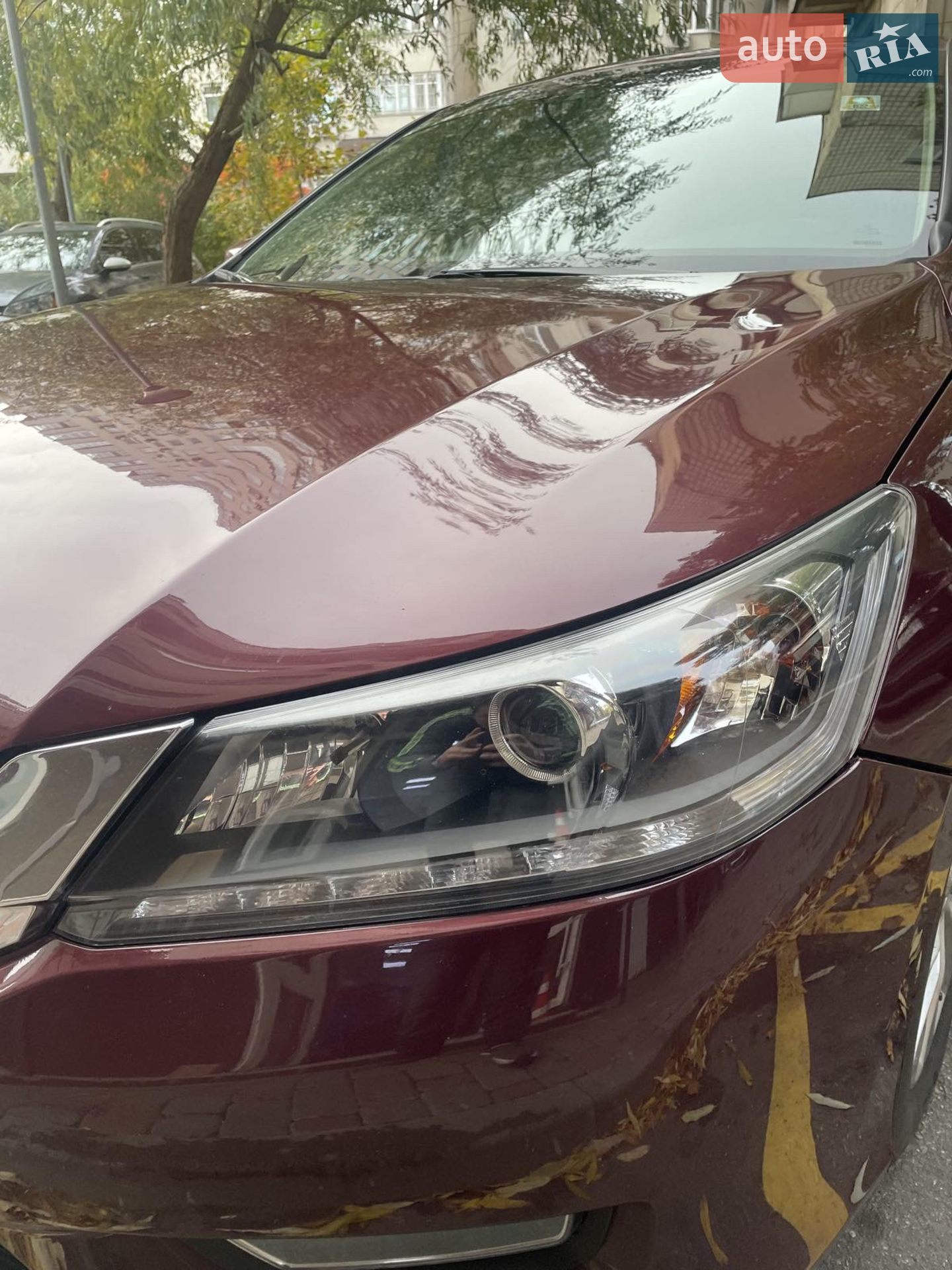 2013 Honda Accord - мініатюра 10