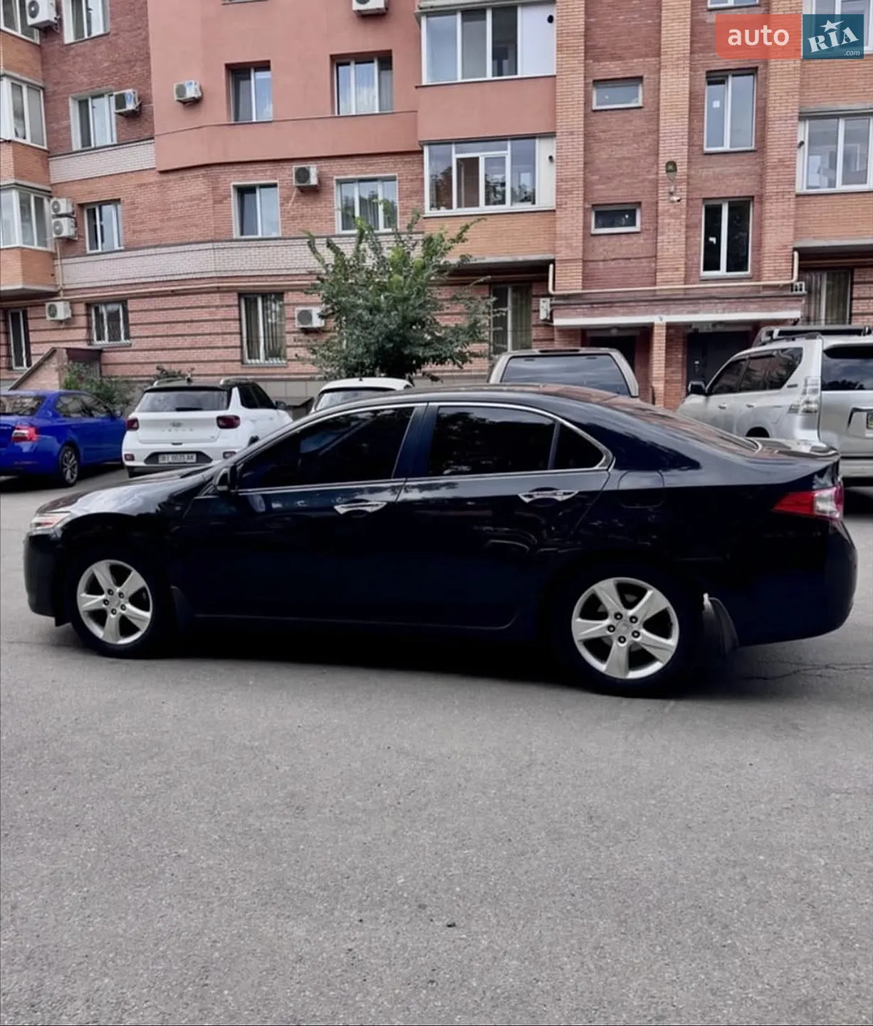 2010 Honda Accord - мініатюра 5