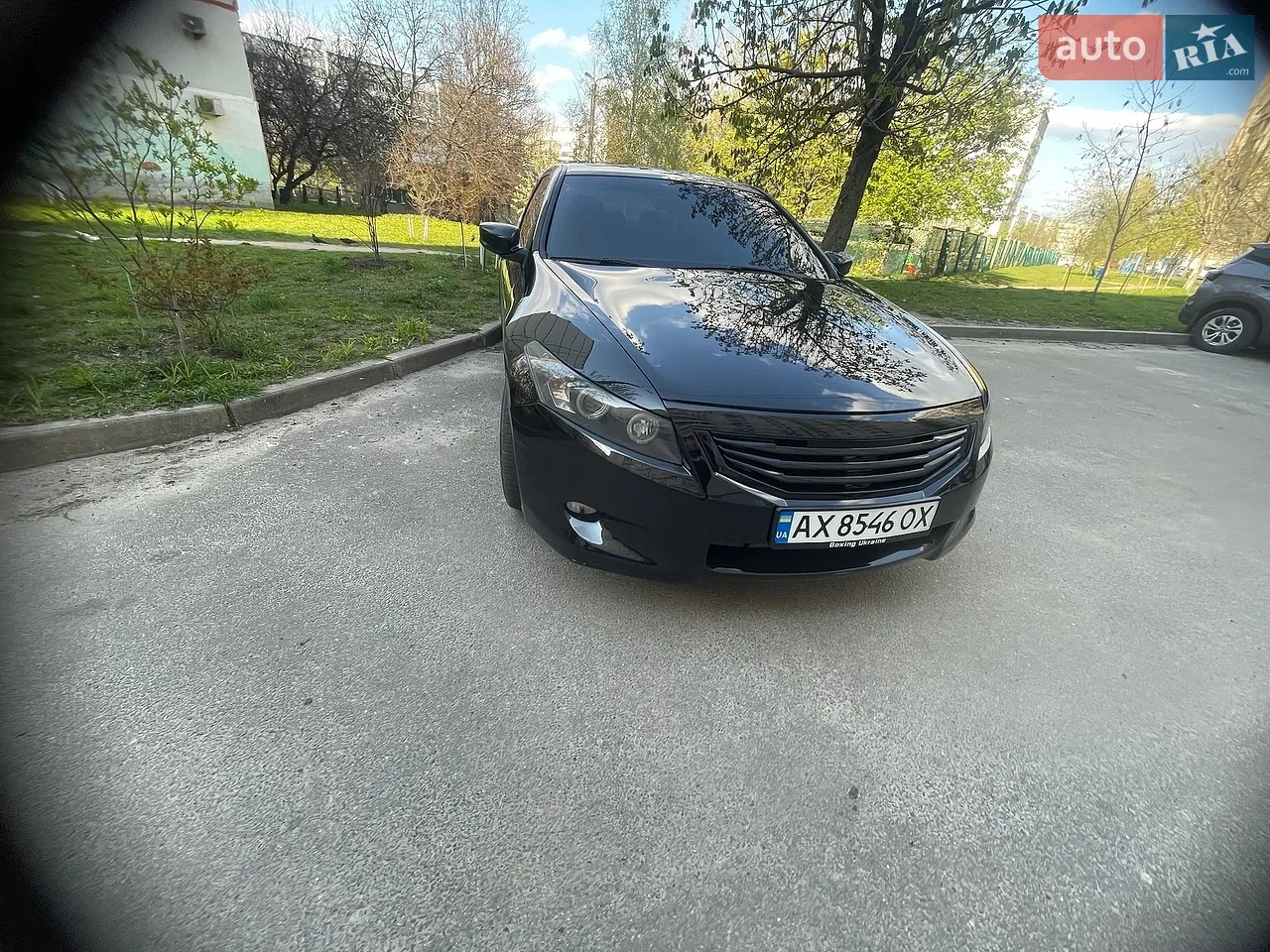 2010 Honda Accord - мініатюра 35