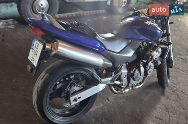 Мотоцикл Без обтікачів (Naked bike) Honda CB 600F Hornet 2001 в Чернігові