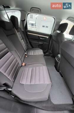 Внедорожник / Кроссовер Honda CR-V 2020 в Славутиче