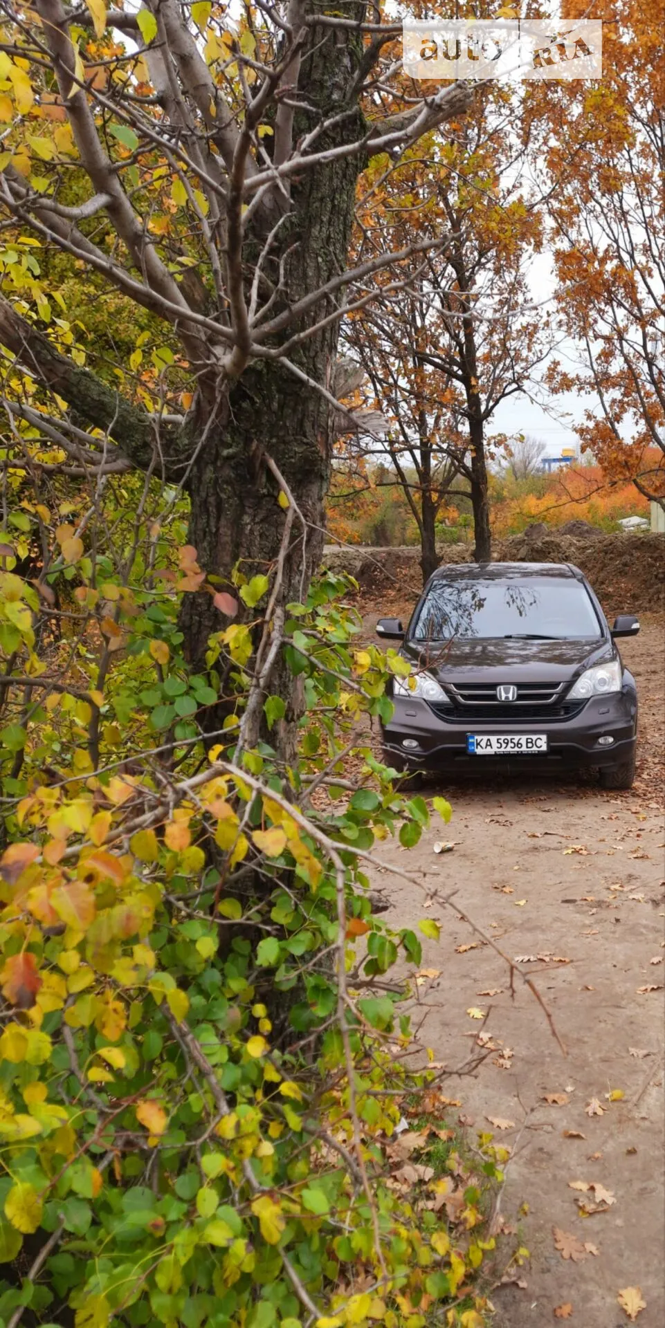 2010 Honda CR-V - мініатюра 3