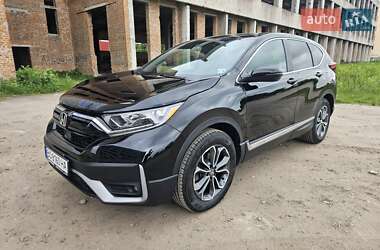 Внедорожник / Кроссовер Honda CR-V 2020 в 