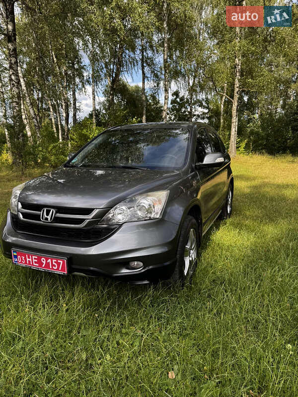 Внедорожник / Кроссовер Honda CR-V 2010 в Радивилове