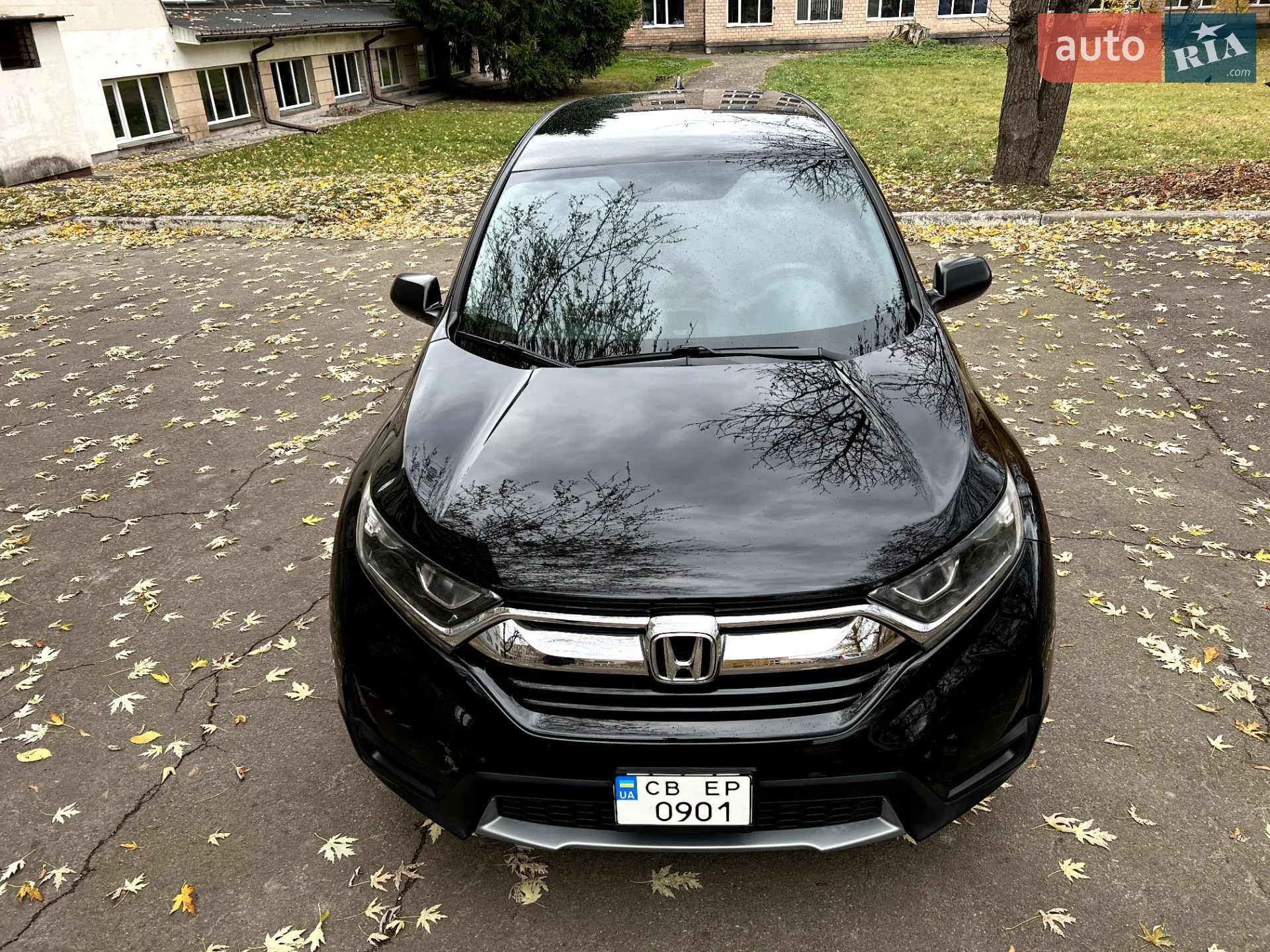 2019 Honda CR-V - мініатюра 11