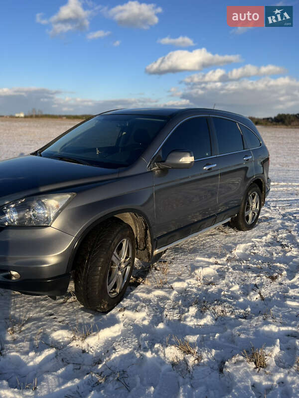 Внедорожник / Кроссовер Honda CR-V 2010 в Радивилове