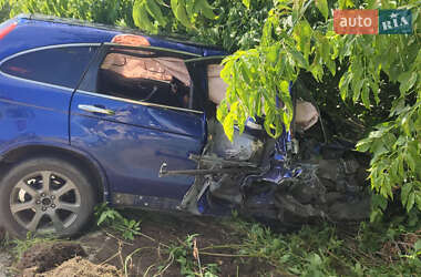 Внедорожник / Кроссовер Honda CR-V 2009 в Жовкве