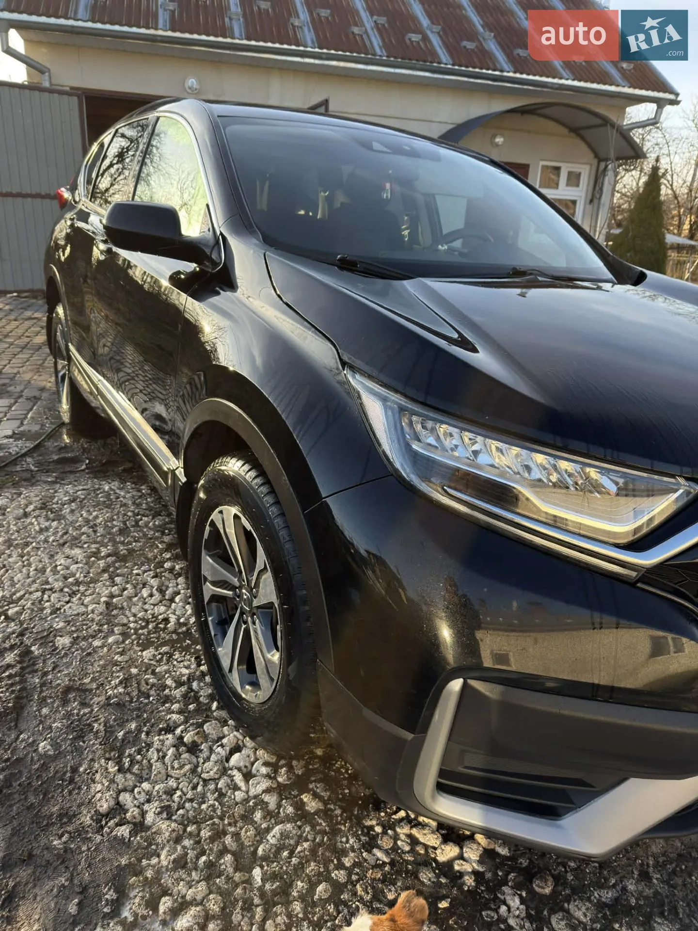 2020 Honda CR-V - мініатюра 5