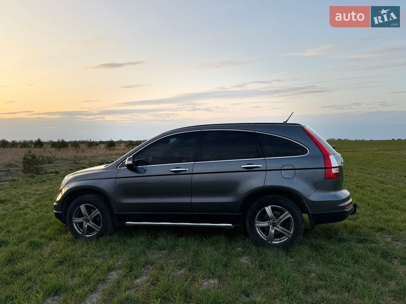 Внедорожник / Кроссовер Honda CR-V 2010 в Радивилове
