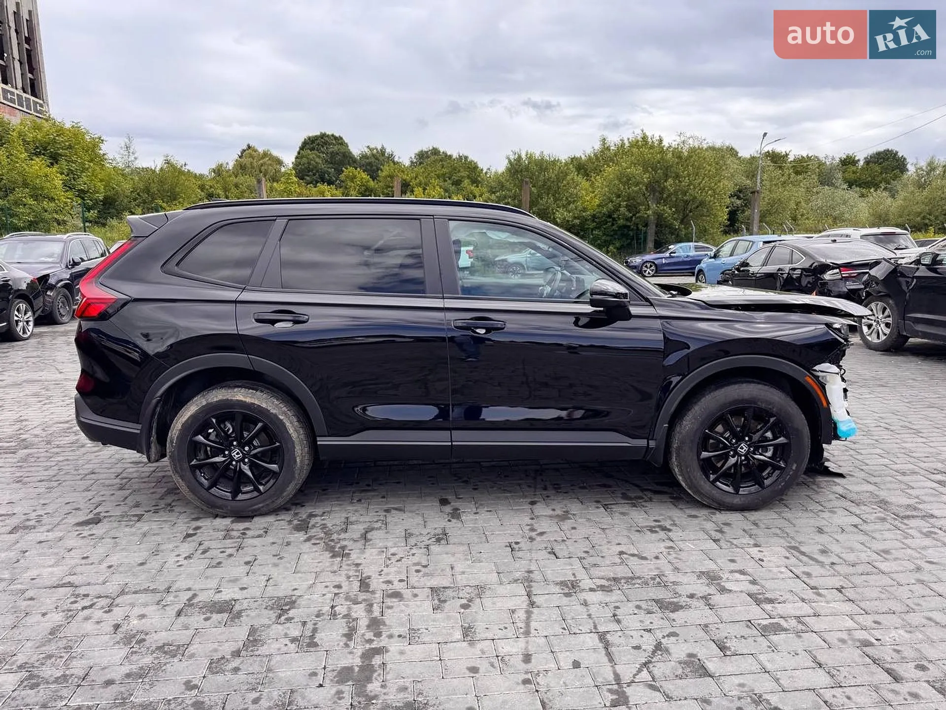 2025 Honda CR-V - мініатюра 2