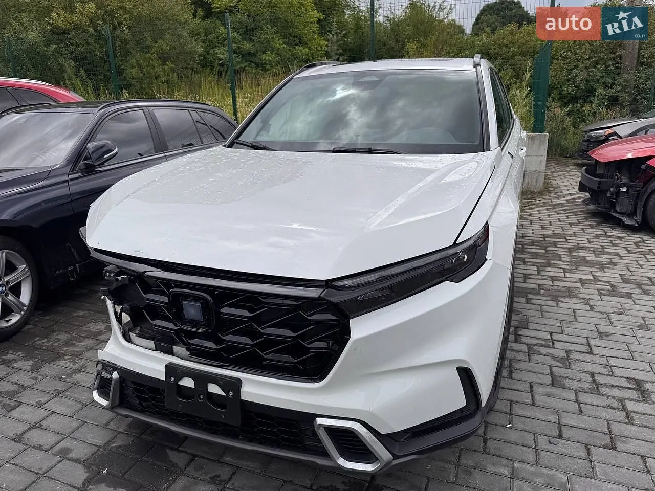 2024 Honda CR-V - мініатюра 2