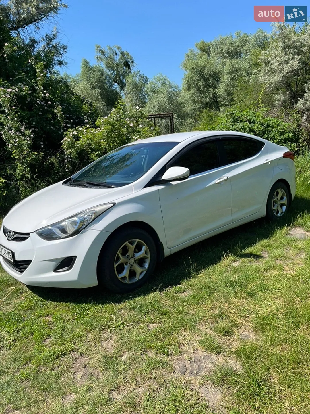 2013 Hyundai Elantra - мініатюра 2