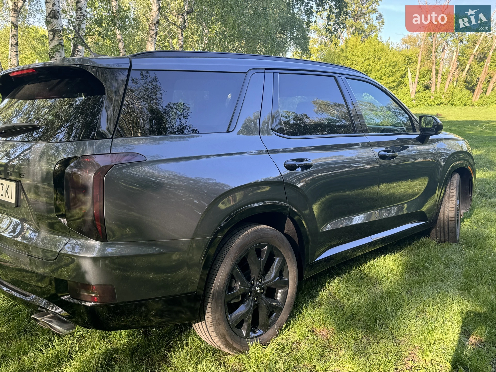 2019 Hyundai Palisade - мініатюра 8