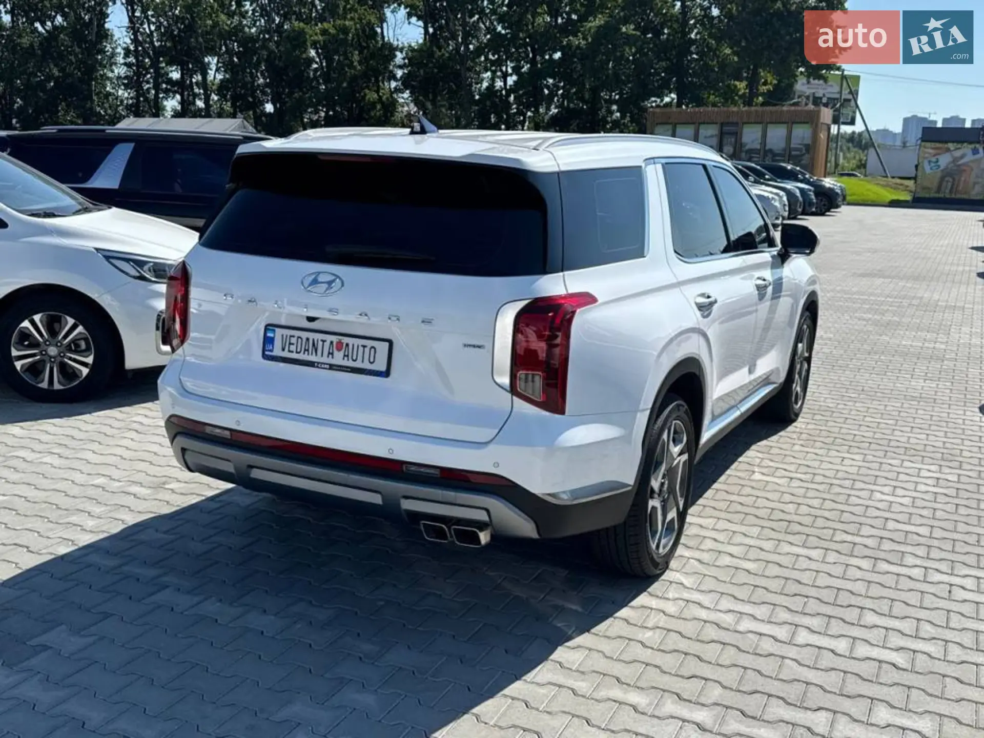 2022 Hyundai Palisade - мініатюра 4