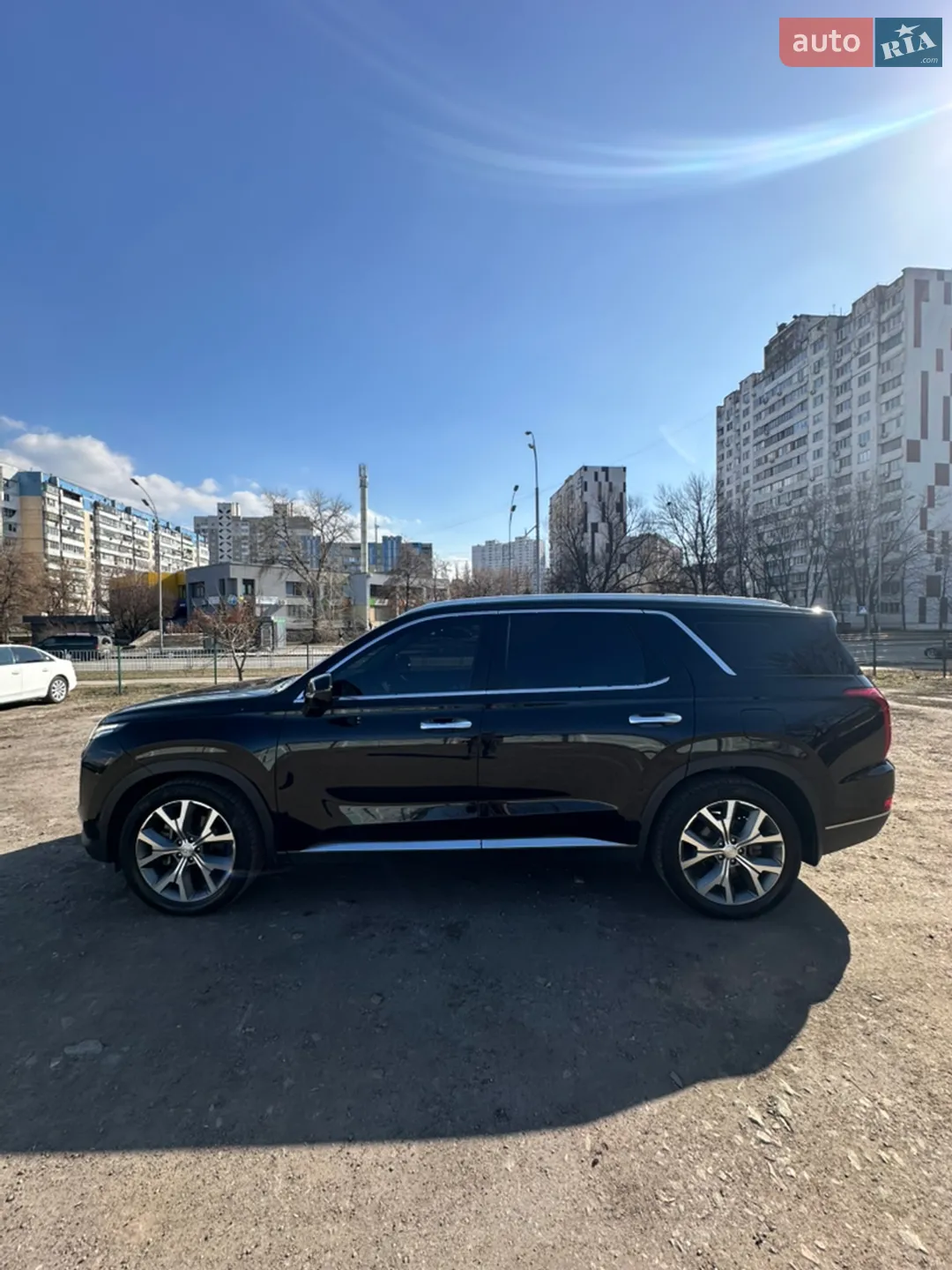 2020 Hyundai Palisade - мініатюра 9