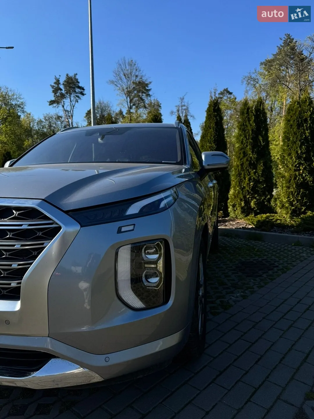 2019 Hyundai Palisade - мініатюра 9