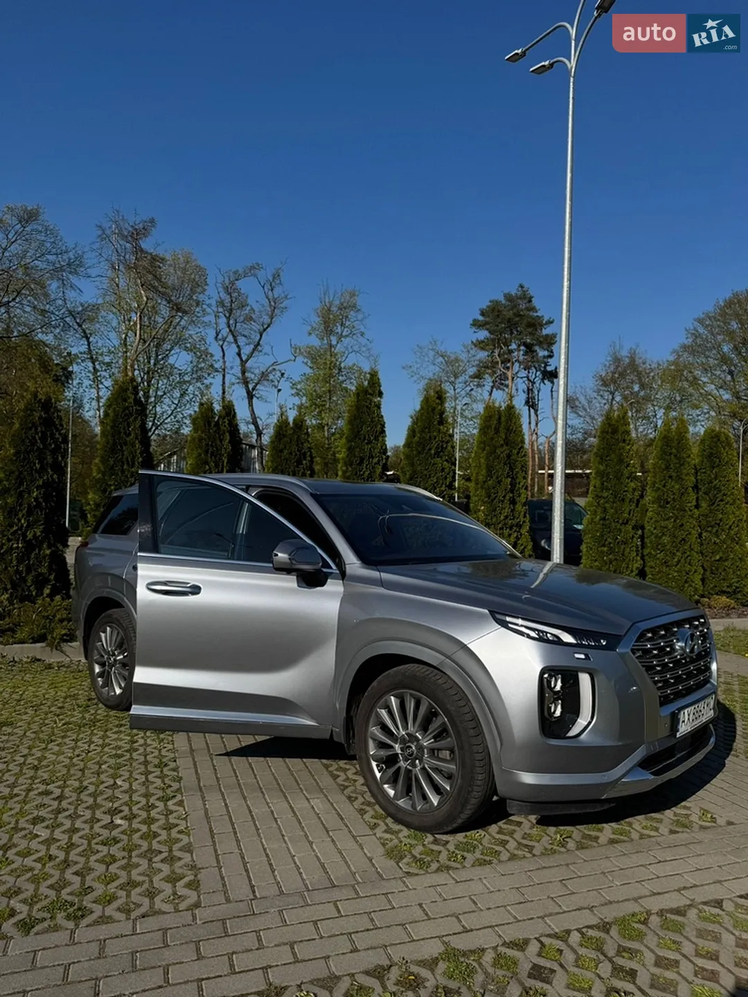 2019 Hyundai Palisade - мініатюра 12