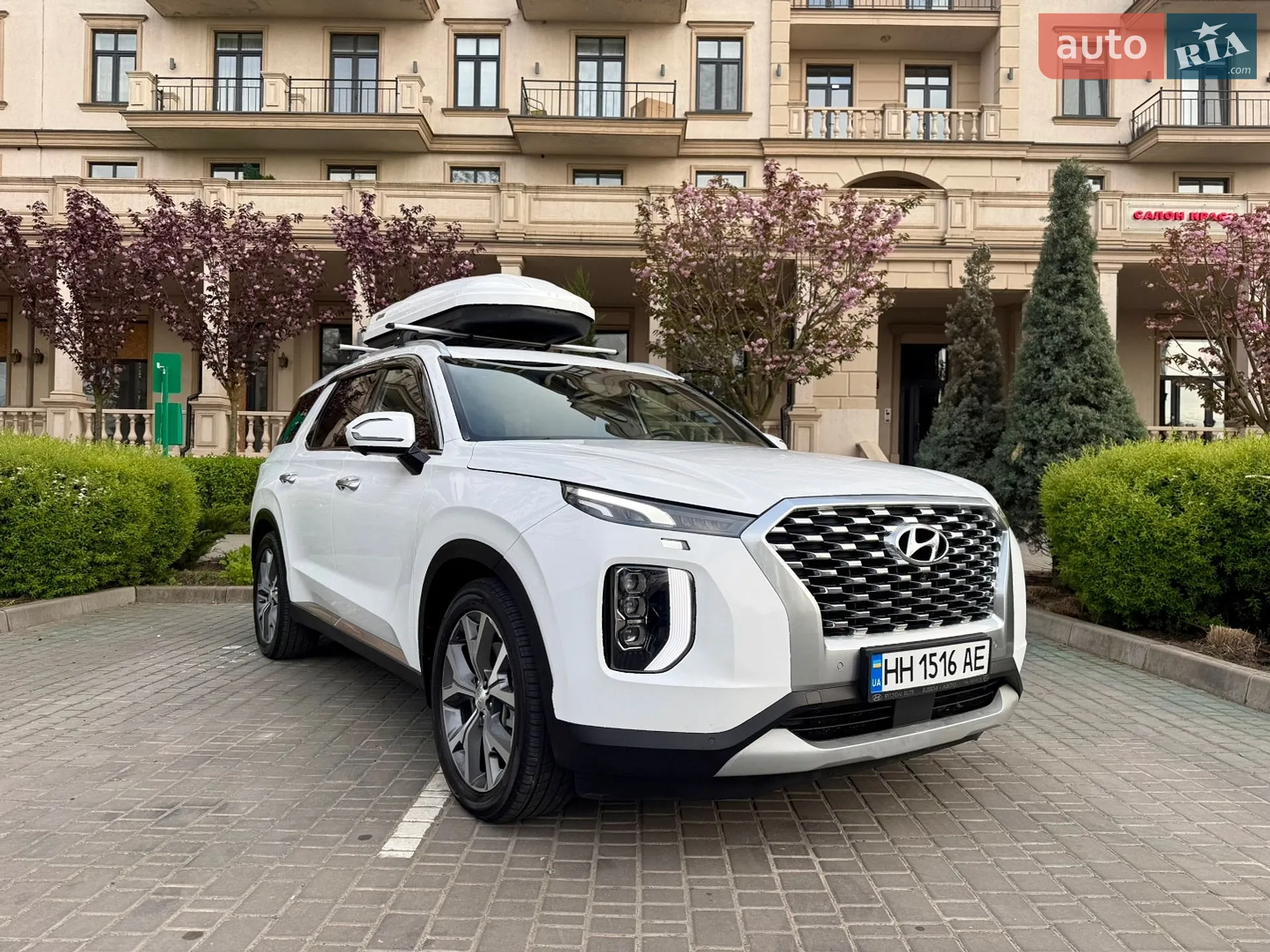 2022 Hyundai Palisade - мініатюра 9