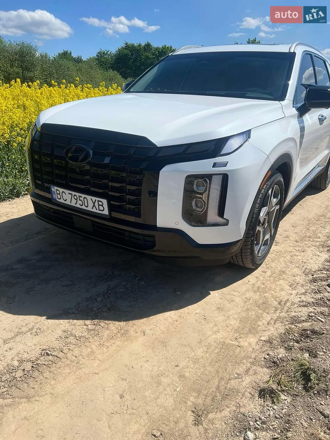 2023 Hyundai Palisade - мініатюра 2