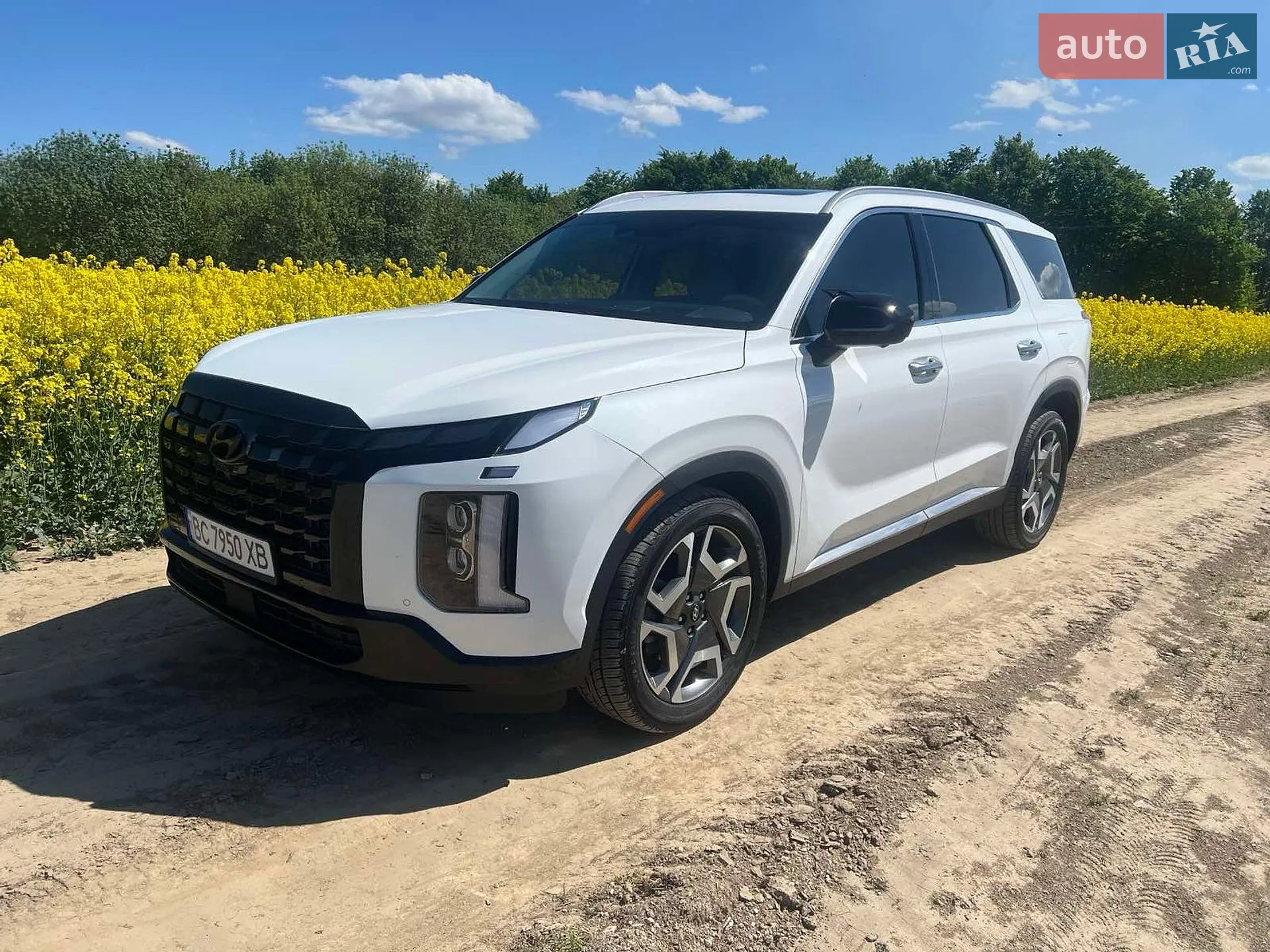 2023 Hyundai Palisade - мініатюра 24