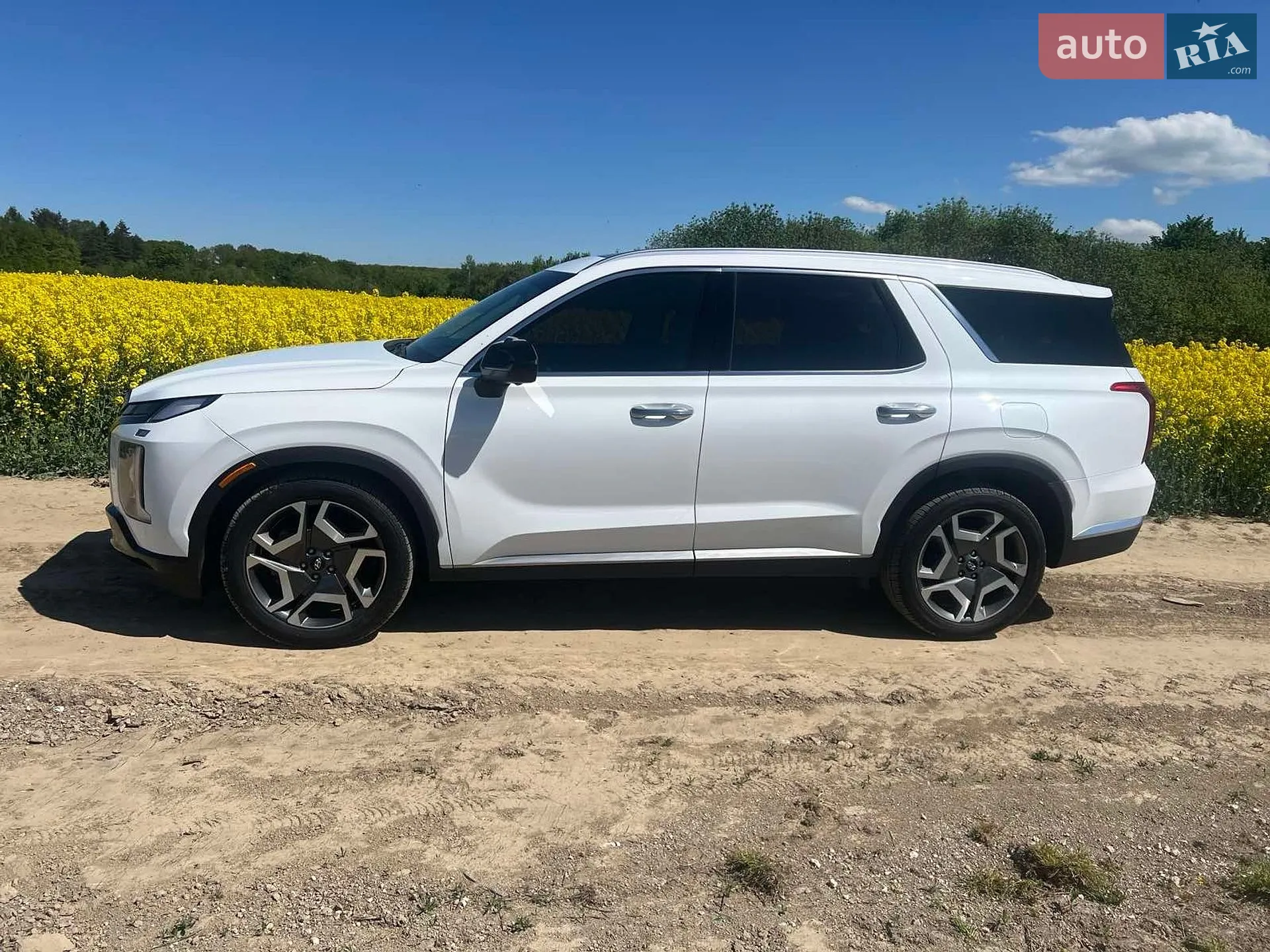 2023 Hyundai Palisade - мініатюра 26