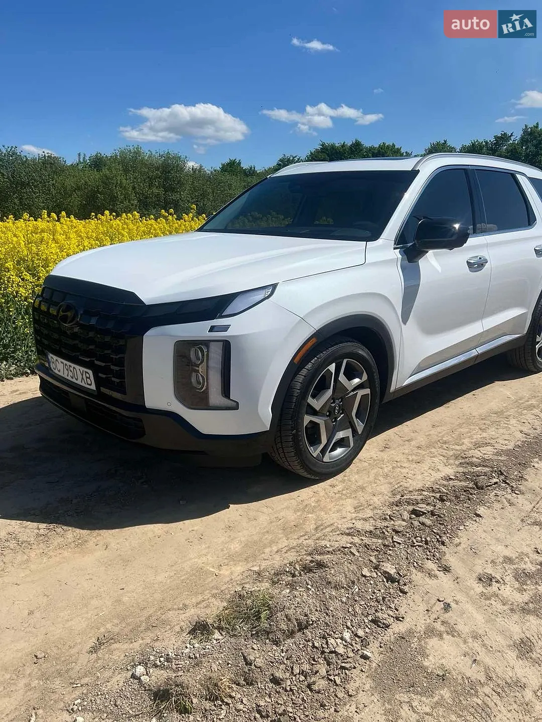 2023 Hyundai Palisade - мініатюра 30