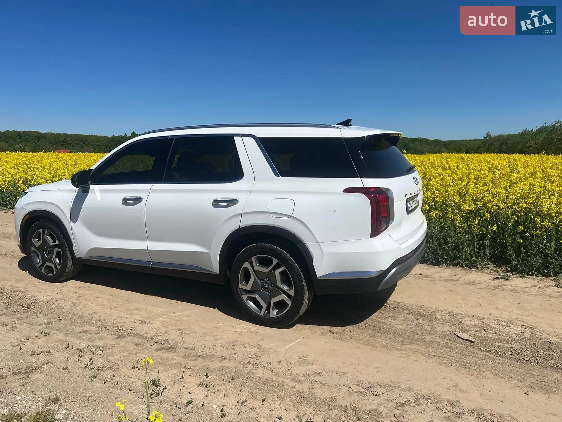 2023 Hyundai Palisade - мініатюра 40