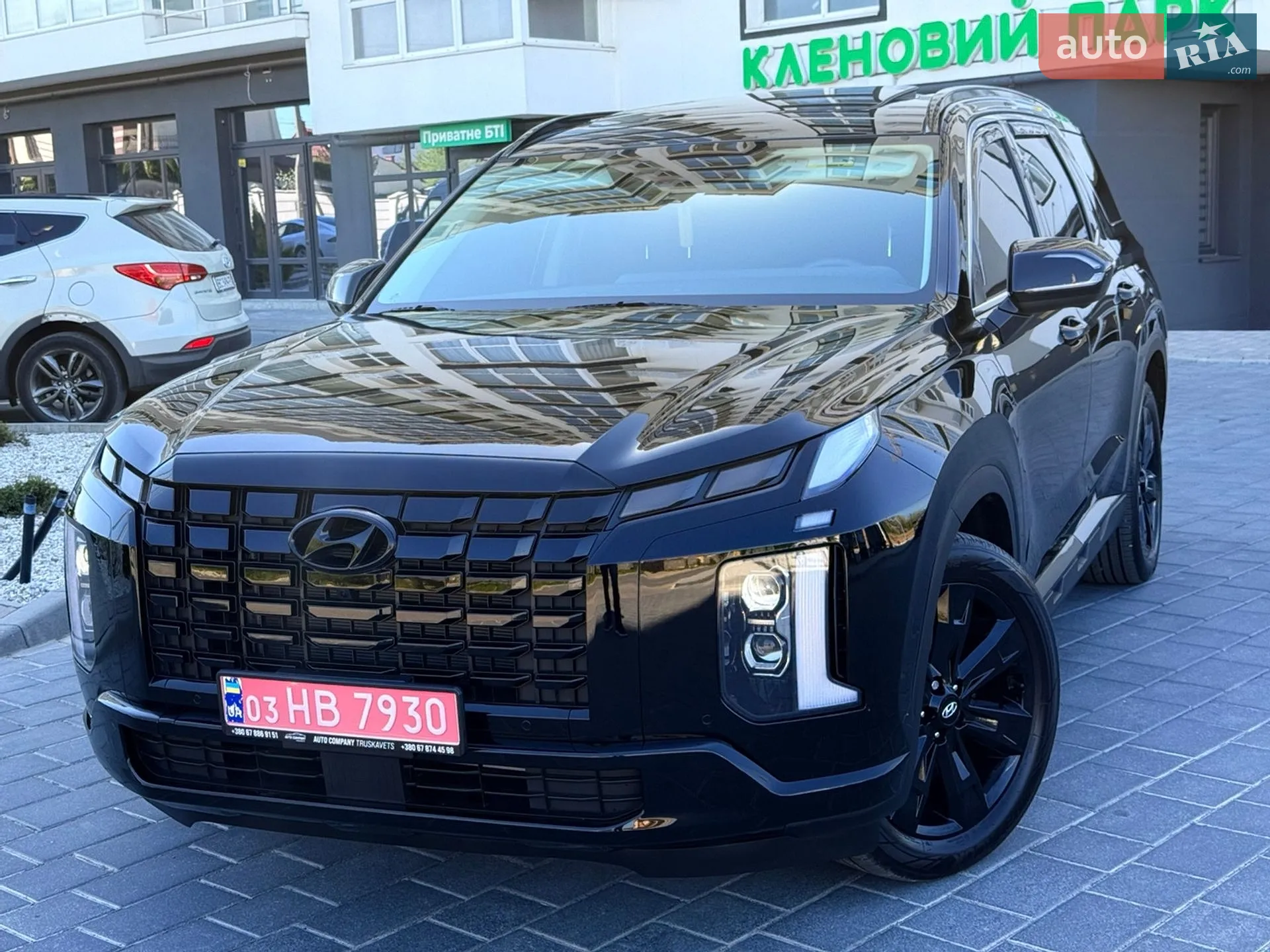 2025 Hyundai Palisade - мініатюра 10