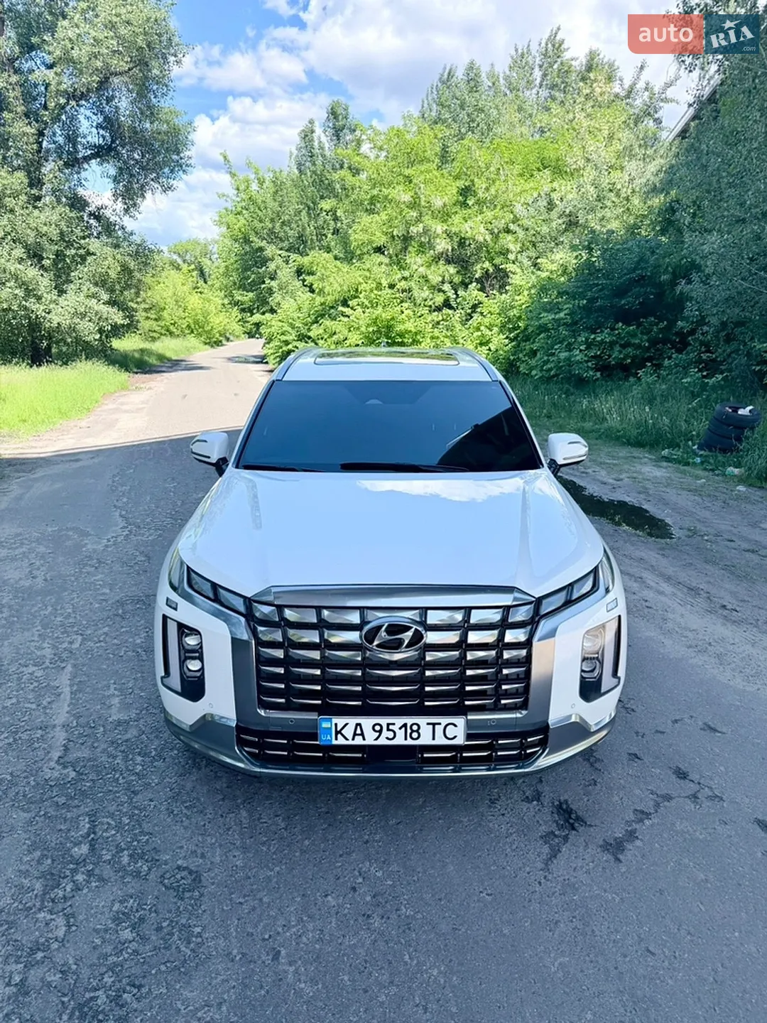 2024 Hyundai Palisade - мініатюра 21