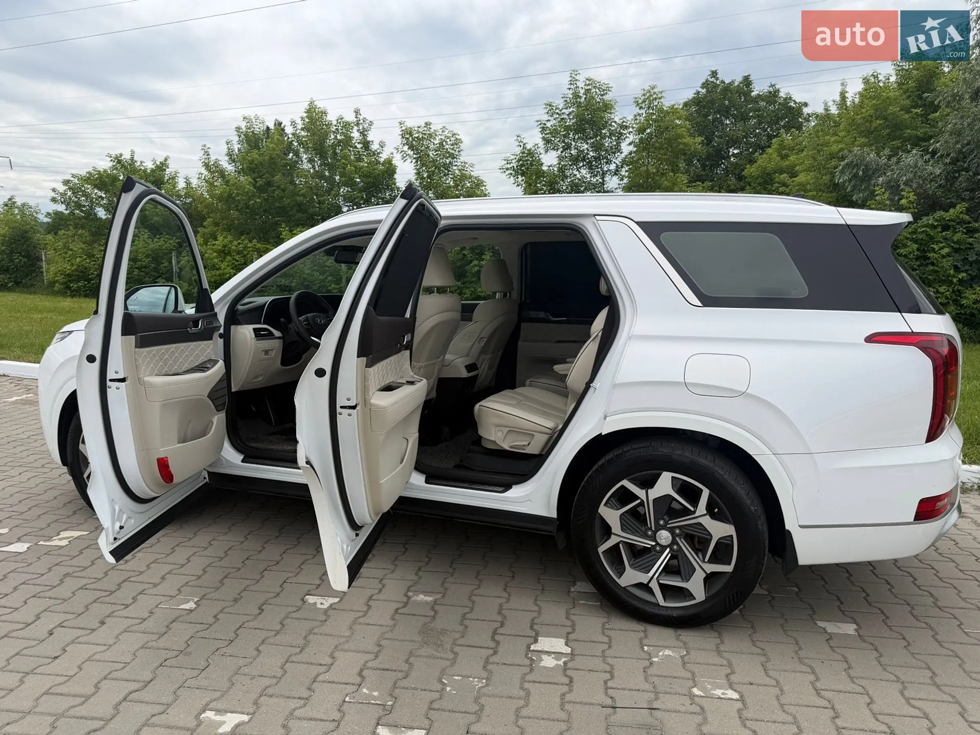 2021 Hyundai Palisade - мініатюра 8