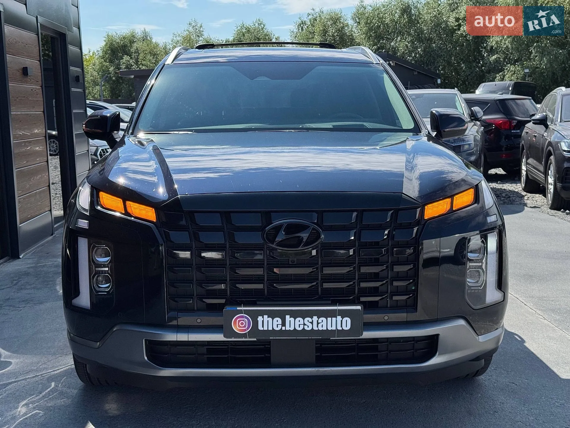 2024 Hyundai Palisade - мініатюра 12