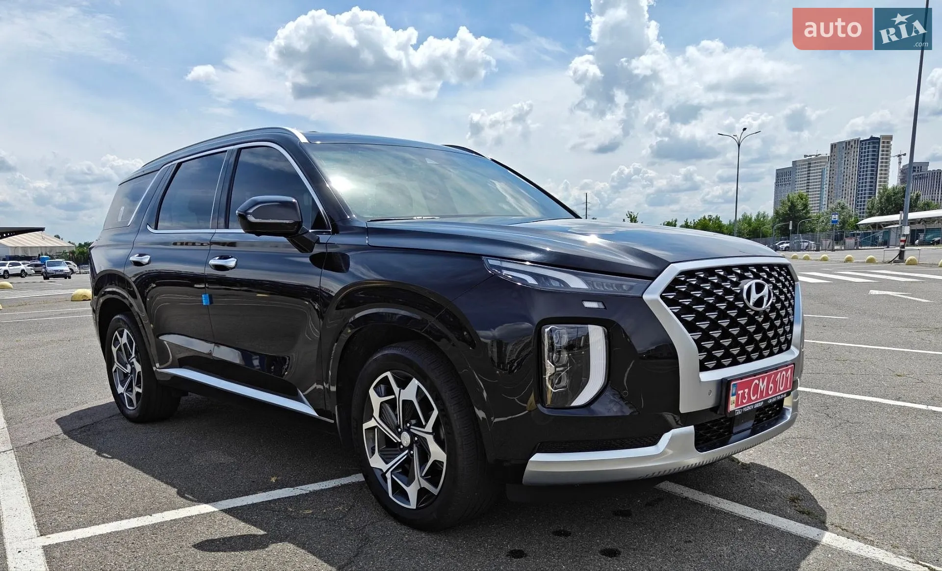 2020 Hyundai Palisade - мініатюра 2