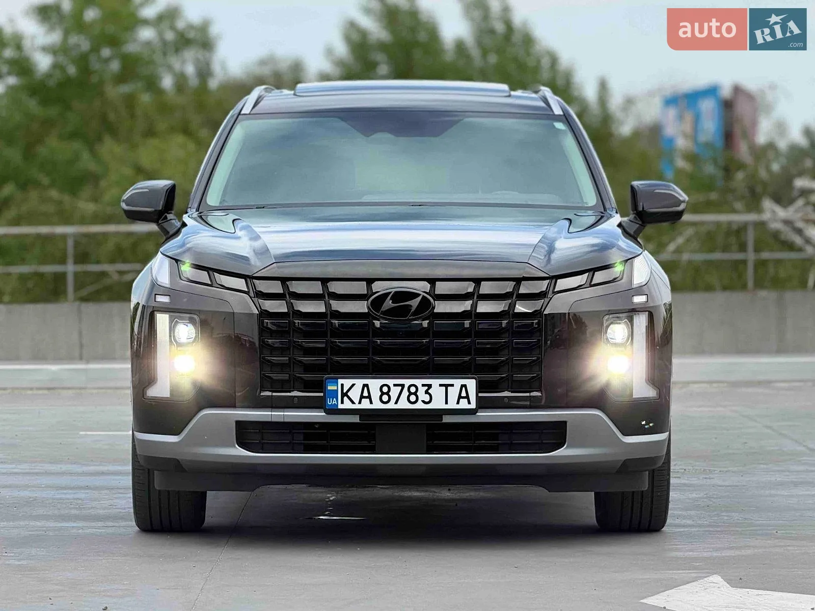 Hyundai Palisade 2019 VIN KM8R1DHE8LU031100 фото оголошення 4 з 14