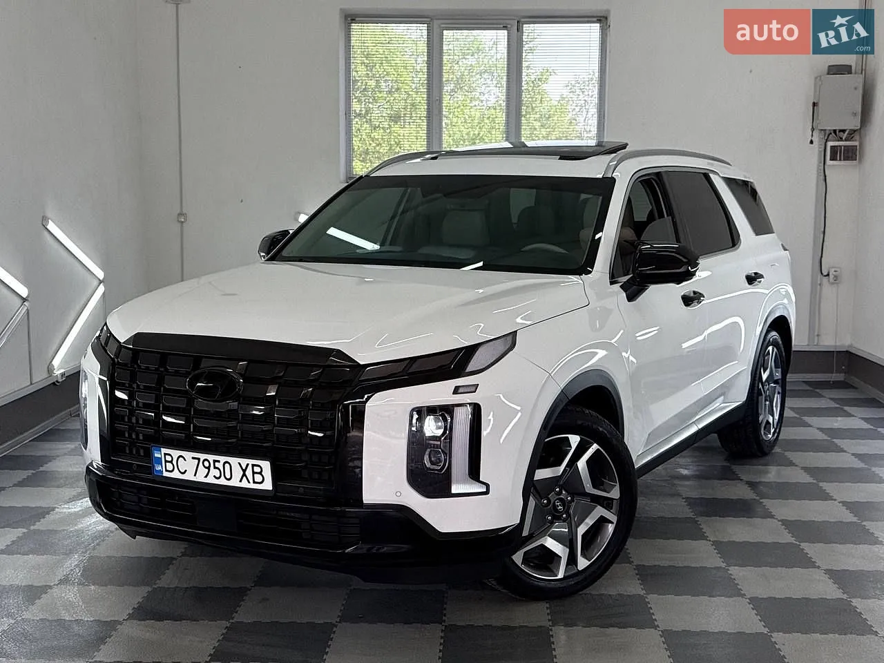2023 Hyundai Palisade - мініатюра 9