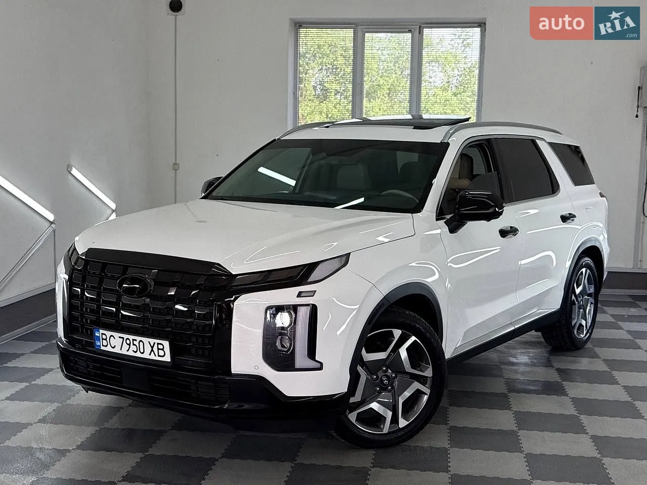 2023 Hyundai Palisade - мініатюра 10