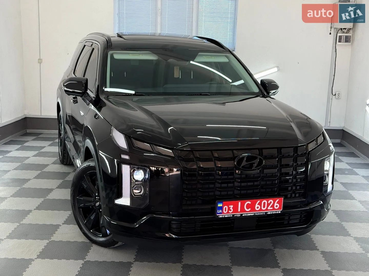 2024 Hyundai Palisade - мініатюра 10