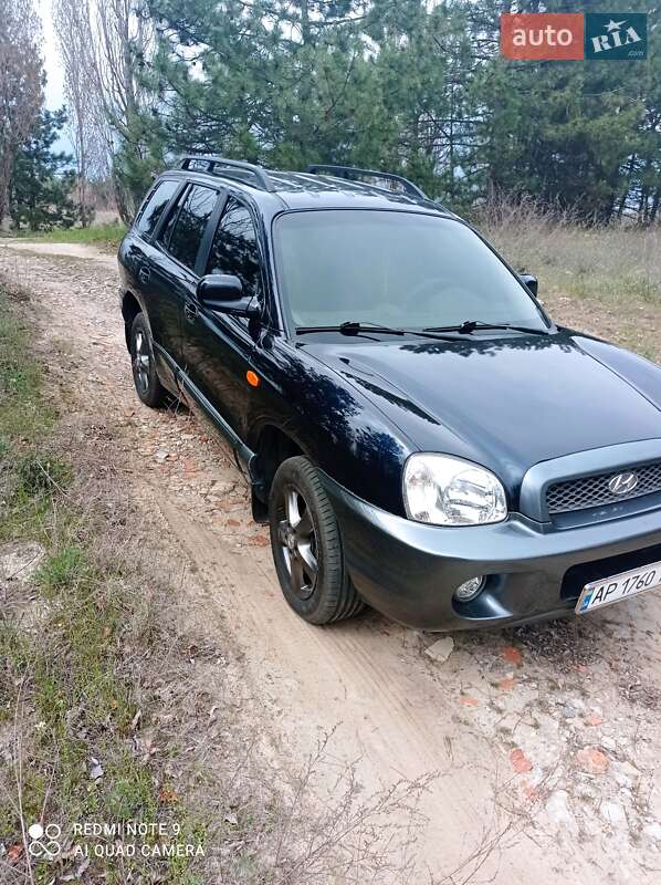 Внедорожник / Кроссовер Hyundai Santa FE 2003 в Энергодаре