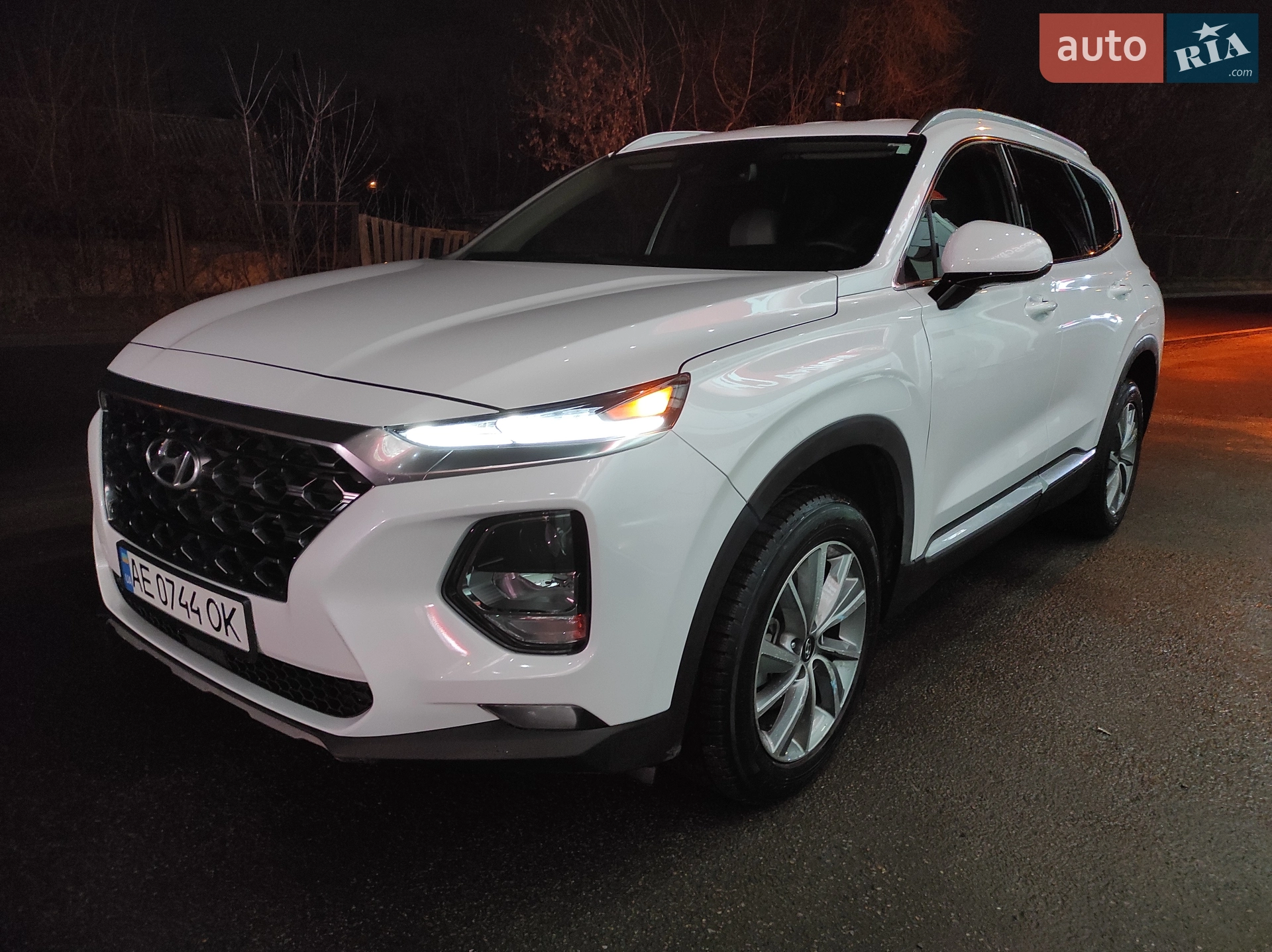 2019 Hyundai Santa Fe - мініатюра 2