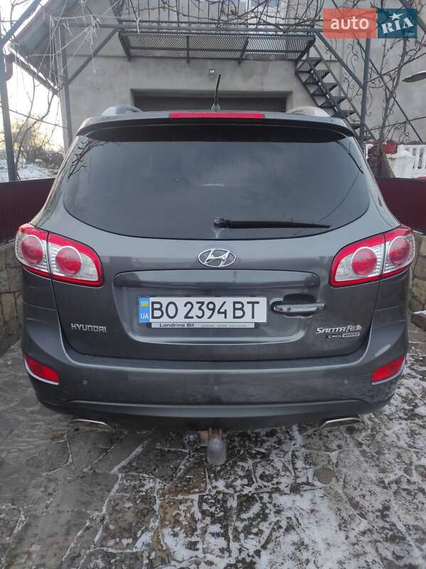 Позашляховик / Кросовер Hyundai Santa FE 2009 в Бучачі