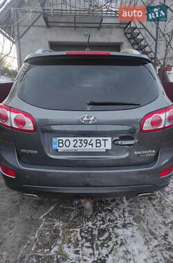 Внедорожник / Кроссовер Hyundai Santa FE 2009 в Бучаче