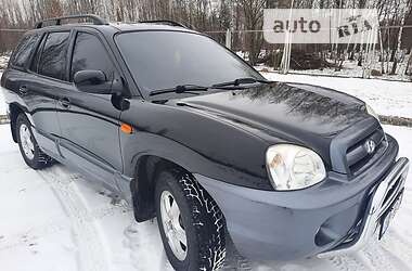 Внедорожник / Кроссовер Hyundai Santa FE 2005 в Бердичеве