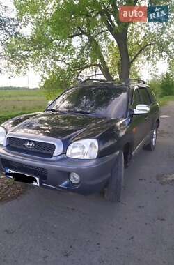 Внедорожник / Кроссовер Hyundai Santa FE 2003 в Сарнах
