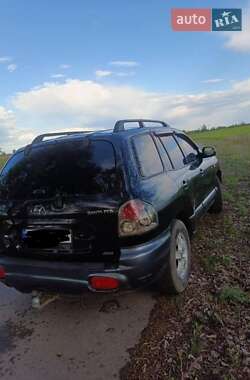Внедорожник / Кроссовер Hyundai Santa FE 2003 в Сарнах