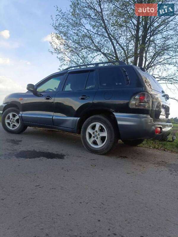 Позашляховик / Кросовер Hyundai Santa FE 2003 в Сарнах