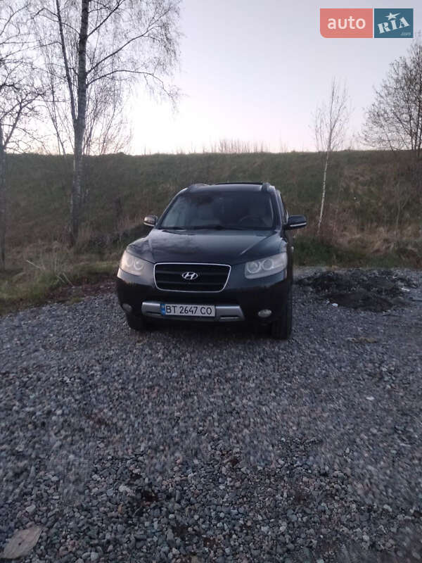 Позашляховик / Кросовер Hyundai Santa FE 2006 в Херсоні