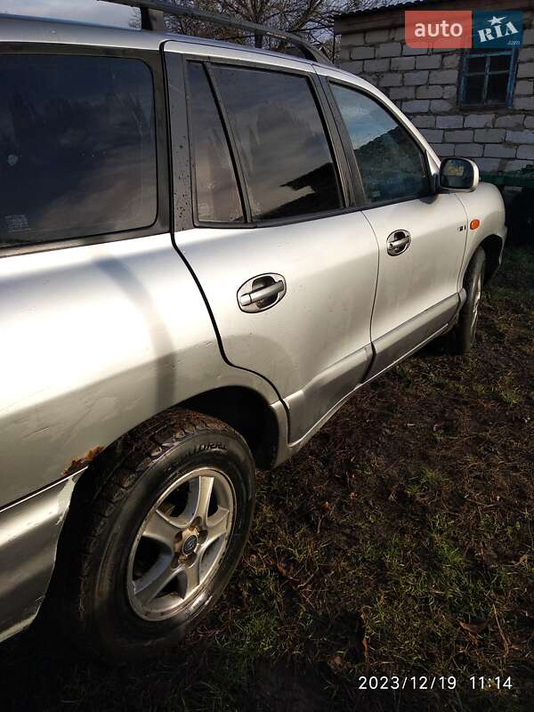 Внедорожник / Кроссовер Hyundai Santa FE 2002 в Тростянце