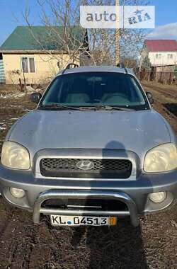Внедорожник / Кроссовер Hyundai Santa FE 2003 в Николаеве