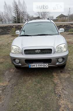 Внедорожник / Кроссовер Hyundai Santa FE 2004 в Путивле